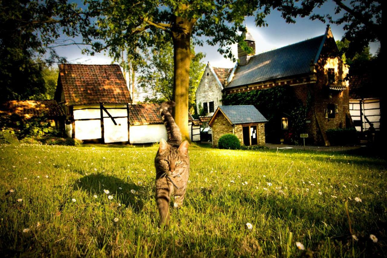 B&B De Bloesem Hoeselt エクステリア 写真
