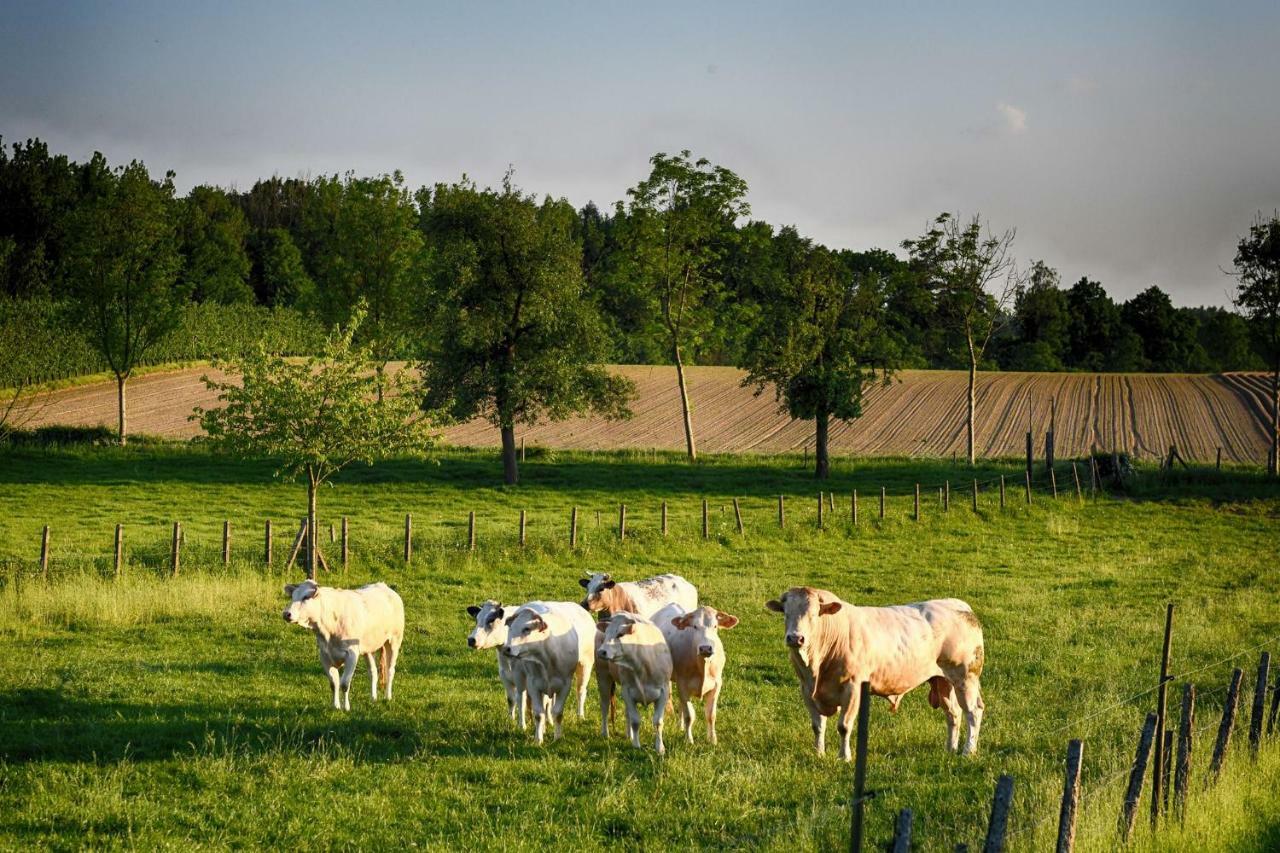 B&B De Bloesem Hoeselt エクステリア 写真