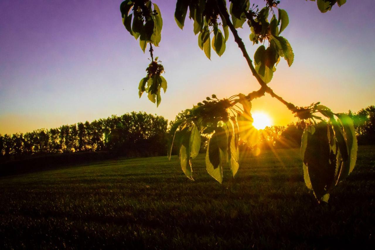 B&B De Bloesem Hoeselt エクステリア 写真